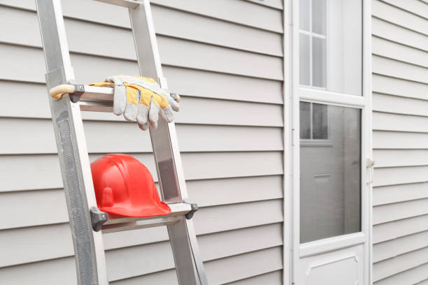 Affordable Siding Repair and Maintenance Services in Oswego, IL